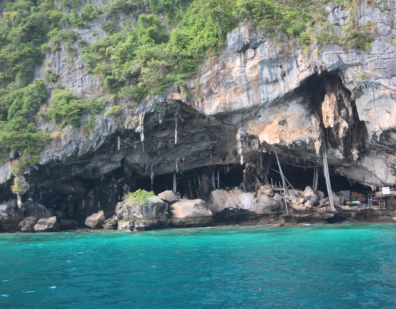 Koh Phi Phi Tour