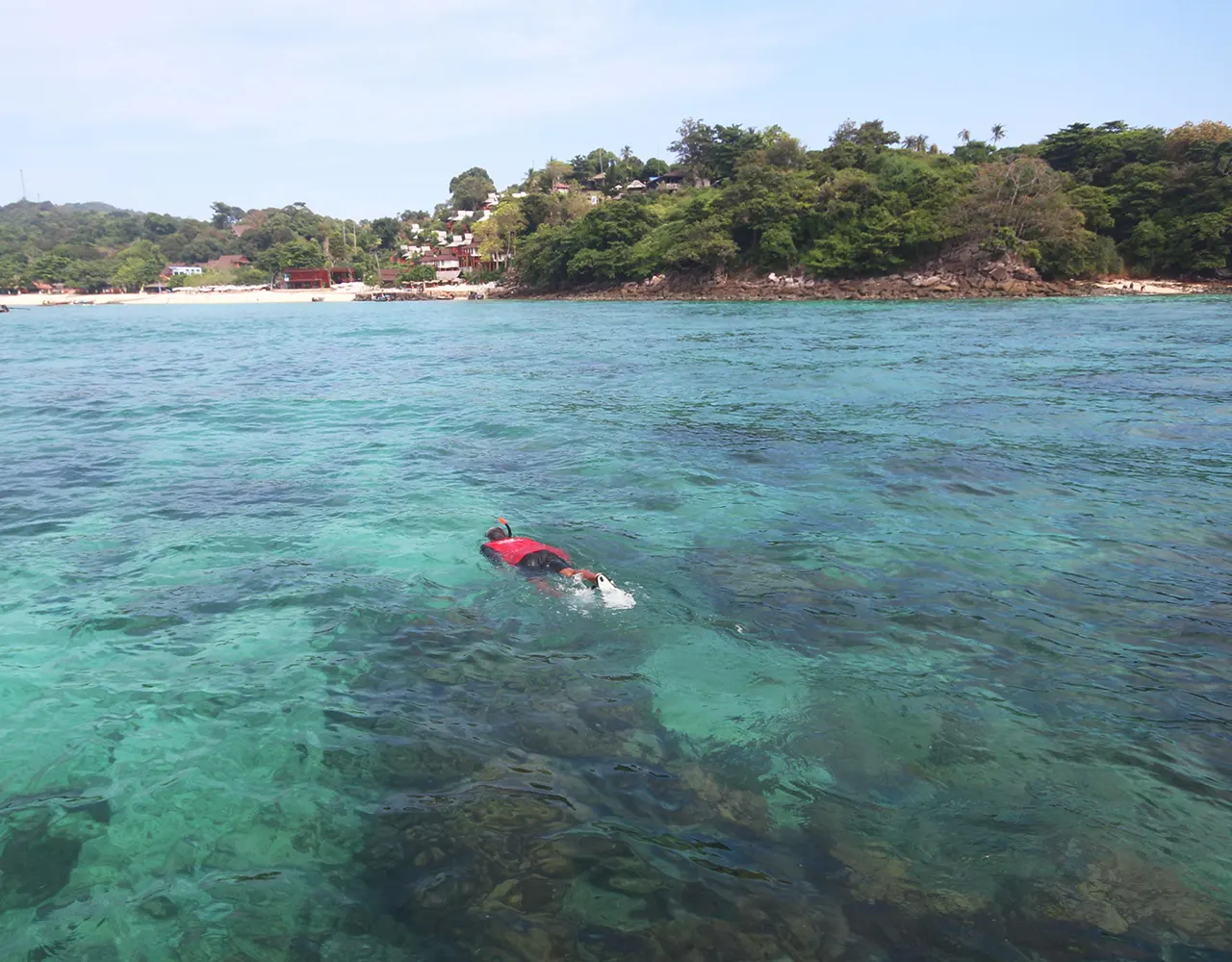 Koh Phi Phi Tour