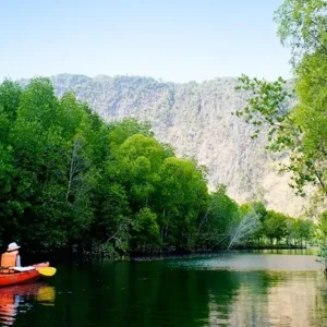 Mangrove tour by kayaking