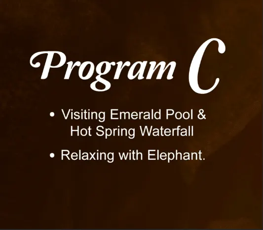 Program C : Visiting Emerald Pool & Hot Spring Waterfall + Relaxing with Elephant.