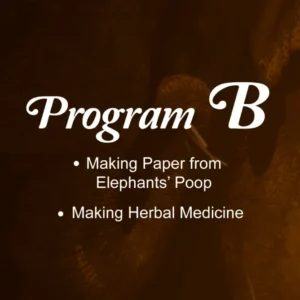 Program B : Paper from Elephant’s Poop + Making Herbal Medicine.