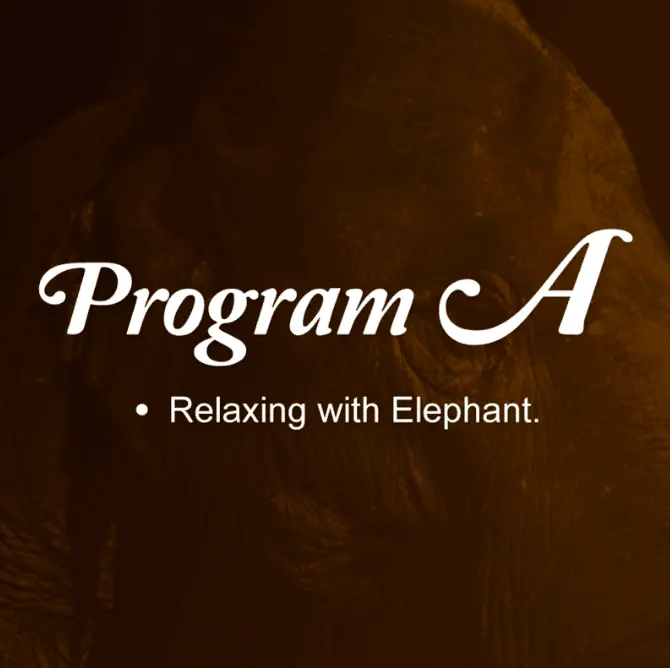 Program A : Relaxing with Elephant.